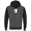 Heavyweight Varsity Full-Zip Hooded Sweatshirt Thumbnail