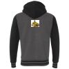 Heavyweight Varsity Full-Zip Hooded Sweatshirt Thumbnail